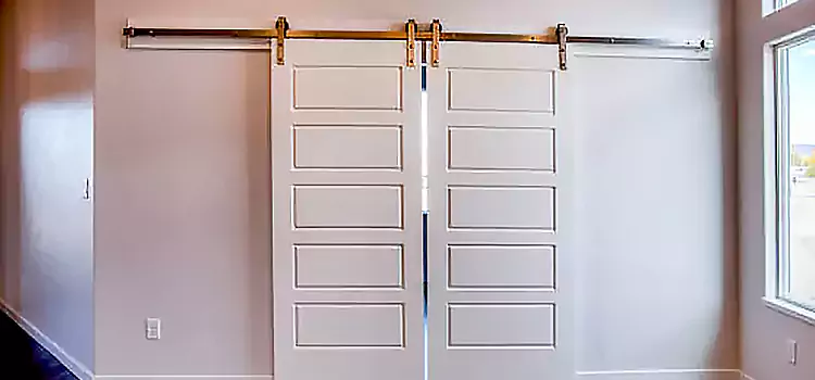 Glass Barn Door with Installation Hardware Kit Redwood City